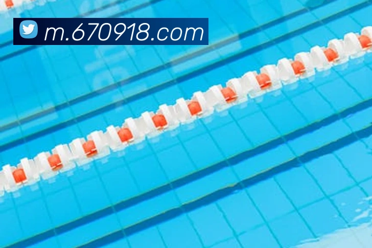918博天堂发展历程